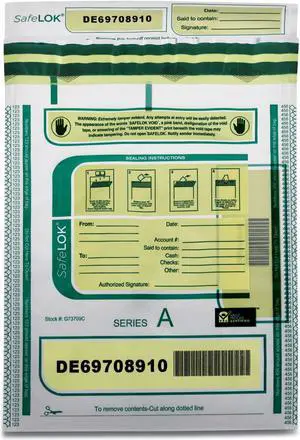 Safelok Deposit Bag, 9 x 12, 2 mil Thick, Plastic, Clear, 100/Pack (CNK585087)