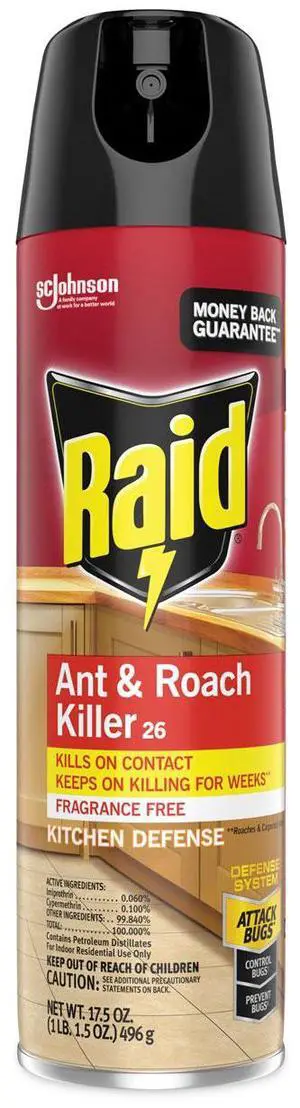 Fragrance Free Ant and Roach Killer 17.5 oz Aerosol Spray 697318