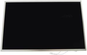 New Dell OEM Vostro 1310 13.3"  WXGA CCFL LCD Screen Display DW919