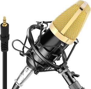 Condenser Microphone Bundle, 3.5 Mm Recording Microphone, Shock Mount Plug And Play,Computer Microphone, Podcast, Recording, Studio Vocal, Youtube - Pyle Pdmic71