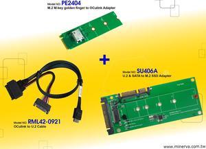 Innocard M.2 M-key to OCulink Adapter with U.2 to OCulink Cable with U.2 & SATA to M.2 SSD Adapter KIT
