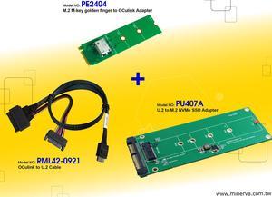 Innocard M.2 M-key to OCulink Adapter with U.2 to OCulink Cable with 3.5” U.2 (SFF-8639) to M.2 NVMe SSD Adapter KIT