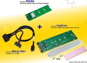 Innocard M.2 M-key to OCulink Adapter with U.2 to OCulink Cable with U.2 to M.2 NVMe SSD with Heat sink Adapter KIT