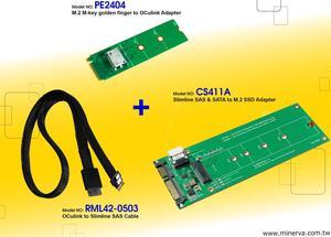 Innocard M.2 M-key to OCulink Adapter with U.2 to OCulink Cable with Slimline SAS & SATA to M.2 SSD Adapter KIT