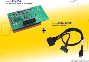 Innocard U.2 to M.2 NVMe SSD & PCIe x4 slot Adapter with U.2 to OCulink Cable KIT