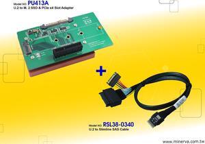 Innocard U.2 to M.2 NVMe SSD & PCIe x4 slot Adapter with U.2 to Slimline SAS Cable KIT