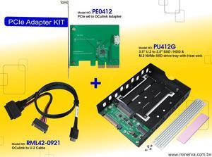 Innocard PCIe x4 to OCulink Adapter & U.2 to OCulink Cable with 3.5" U.2 & SATA to 2.5" SSD / HDD & M.2 SSD Drive tray KIT