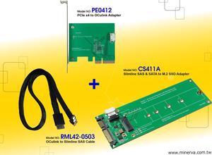 Innocard PCIe x4 to OCulink Adapter & Slimline SAS to OCulink Cable with Slimline SAS & SATA to M.2 SSD Adapter KIT
