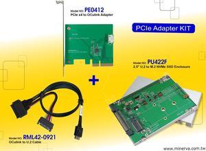 Innocard PCIe x4 to OCulink Adapter & U.2 to OCulink Cable with 2.5” U.2 to M.2 NVMe SSD Enclosure KIT