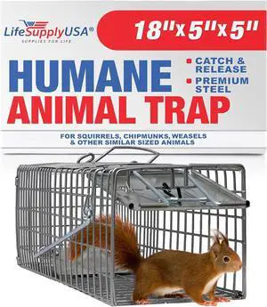 Heavy Duty Catch Release Small Live Humane Animal Cage Trap for Squirrels Chipmucks Rabbits Skunks 18x5x5