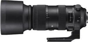 Sigma 60-600mm F4.5-6.3 DG OS HSM Sports  Lens for Nikon
