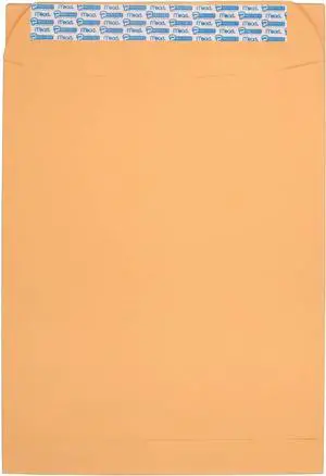 Mead Press-It Seal-It Envelopes, 10 x 13 Inches, Office Pack 20 Count (76088) Mead Press-It Seal-It Envelopes, 10 x 13 Inches, Office Pack 20 Count (76088)