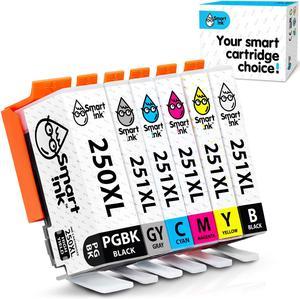 Compatible Ink Cartridge Replacement For Canon Pixma Cli251Xl Pgi250Xl Pgi 250 Cli 251  1Pgbk  1BkCMYGy 6 Combo Pack  To Use With Ip8720 Mg6320 Mg7120 