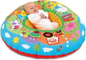 Toys Playnest Farm Baby Activity Center amp Floor Seat Multicolor