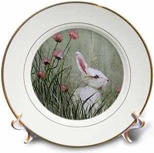 cp_44349_1 Side View of Bunny Rabbit in Tall Grass with Pink Wildflowers-Porcelain Plate, 8-Inch