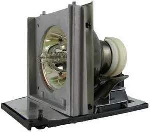 Advanced Lamps 310-5513 Lamp & Housing for Dell Projectors - Fits 2300MP, PD116P, PD523D, PD525D, G5553, EC.J1001.001 - 1 Unit Per Pack - 90-Day Warranty