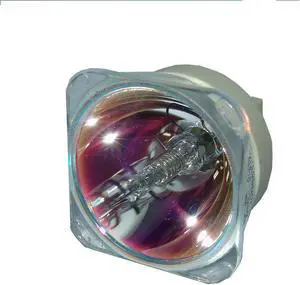Advanced Lamps 5J.J8K05.001 Lamp (Bulb Only) for BenQ Projectors - Fits SX914 - 1 Unit Per Pack - 90-Day Warranty