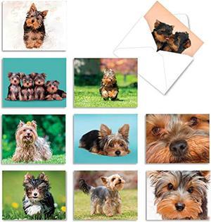 - 10 Adorable Blank Dog S (4 X 5.12 Inch) - Assorted Pet Breeds, Boxed Set - Terrific Yorkshire Terriers Am6833ocb-B1x10