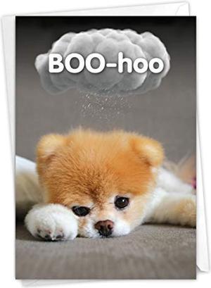 Boo-Hoo - Cute Dog Miss You Greeting With Envelope (4.63 X 6.75 Inch) - Sweet Pet Dog Boo, Thinking Of You Note - Loving Stationery C6869myg