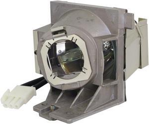 Advanced Lamps RLC-109 Lamp & Housing for Viewsonic Projectors - Fits PA503W, PG603W, PS600W, VS16973, VS16977, RLC-109-UHP, RLC-109 & More - 1 Unit Per Pack - 90-Day Warranty