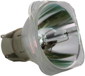 Advanced Lamps BL-FU220D Lamp (Bulb Only) for Optoma Projectors