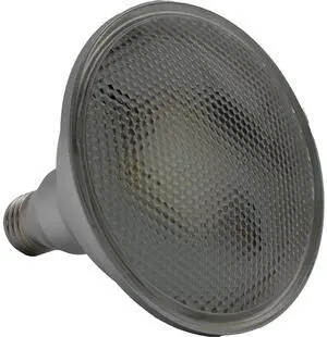 Jaspertronics PAR38 30W Color Changing LED Floodlight Smart Light Bulb with Voice Control or IR Remote Control. E27 Base perfect for Lawn, Landscape, and Parties!