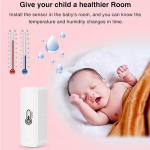 WiFi Temperature Humidity Sensor Controller Monitoring Indoor Hygrometer Electronic Intelligent Linkage for Alexa Google Home