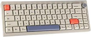 SUEHIODHY CIDOO V65 V2 Wireless Hot Swap Mechanical Keyboard, 65% Gasket Mount Gaming Keyboard,with Aluminum CNC Case VIA Programmable South-Facing RGB Volume Knob for Win/Mac/Linux(Grey)