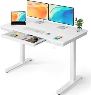 ErGear Electric Standing Desk, 48 x 24 inch Standing Desk with Drawer, Sit Stand Desk with Preassembled Top & USB Charging Ports, Height Adjustable Standing Desk for Home & Office (White) EGESD33W