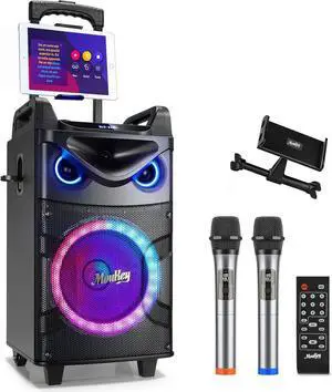 Karaoke Machine, 10" Woofer Portable PA System, Bluetooth Speaker with 2 Wireless Microphones, Lyrics Display Tablet Holder, Party Lights & Echo/Treble/Bass Adjustment Support REC/AUX/USB/TF