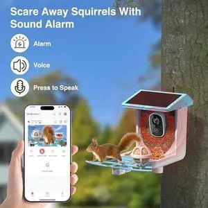 Bird Feeder with Camera Solar-Ai Species Identification,1296P HD Outdoor Squirrel Proof Smart Bird Feeders Camera Live View, Focus Auto Record Videos