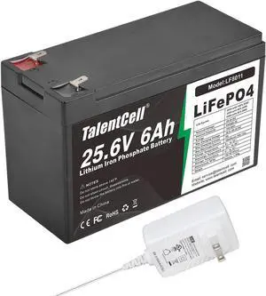 24V 6Ah LiFePO4 Battery Pack LF8011, 25.6V 153.6Wh Deep Cycle Rechargeable Lithium Iron Phosphate Batteries with Charger and Female Spade Terminal Wire, for Trolling Motor, RV, Camping