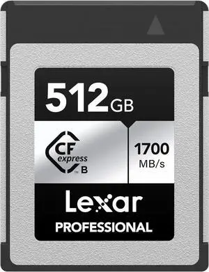 512GB Professional Silver SE CFexpress Type B Memory Card, for Photographers, Videographers, Up to 1700/1250 MB/s, 8K Video (LCXEXSE512G-RNENU)