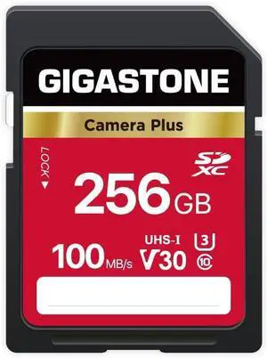 256GB SD Card, Camera Plus, V30 U3 SDXC Memory Card High Speed UHD Video Compatible with Canon Kodak Olympus Digital Camera, with 1 Mini case