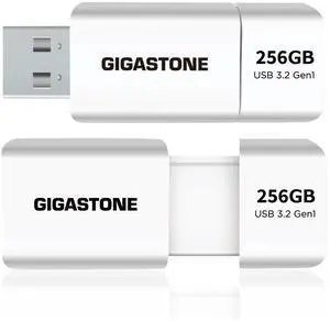 GIGASTONE 256GB Flash Drive (2 Pack) Z60 USB 3.2 Gen 1, 120MB/s Ultra Fast, Retractable Capless Slider Design, Data Storage, Backup for PC/Mac/TV/Car Audio, USB 2.0/3.0/3.1 Compatible