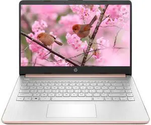 HP 14" Touchscreen Laptop, Intel Dual-Core N4020, 8GB RAM, 192GB Storage(64GB eMMC+128GB Micro SD), Webcam, 1Yr Office w/Accessories(Rose Gold)