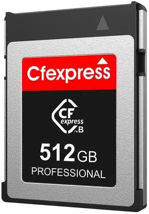 512GB CFexpress Type B Memory Card, Up to 1700MB/s, CF Express Card Type-B RAW 8K Video Recording Compatible with Nikon D5/D6/Z7/Z9, Canon EOS R5, Panasonic (512, GB)