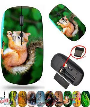 maizi Laptop Mouse for Laptop Chromebook Computer, Laptop Mice Image ID: 21711239 Squirrel Eating a del 2.4G USB Receiver Portable American-Made Product