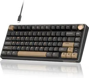 RK ROYAL KLUDGE R75 Wired Gaming Keyboard with Volume Knob, 75% Mechanical Gaming Keyboard Custom Gasket Mount with MDA Profile PBT Keycaps, QMK/VIA, Hot Swappable Silver Switch, Black