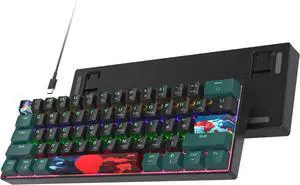 60 Percent Gaming Keyboard 61 Keys Mechanical Keyboard Rainbow Backlit Ultra Compact Wird Keyboard with Red Switches for Win Ps4/5 Xbox(61 Green)