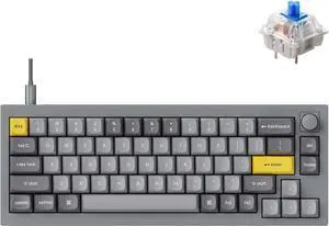 Keychron Q2 Wired Custom Mechanical Keyboard Knob Version, 65% Layout QMK/VIA Programmable Macro with Hot-swappable Gateron G Pro Blue Switch Double Gasket Compatible with Mac Windows Linux (Grey)