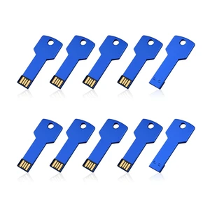 RAOYI 10 Pack 32GB USB Flash Drive USB 2.0 Metal Key Shape Memory Stick Thumb Drive Pen Drive-Blue RAOYI 10 Pack 32GB USB Flash Drive USB 2.0 Metal Key Shape Memory Stick Thumb Drive Pen Drive-Blue