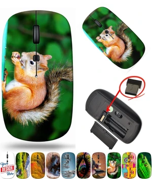 maizi Laptop Mouse for Laptop Chromebook Computer, Laptop Mice 21711239 Squirrel Eating a del 2.4G USB Receiver Portable Printed in USA maizi Laptop Mouse for Laptop Chromebook Computer, Laptop Mice 21711239 Squirrel Eating a del 2.4G USB Receiver Portable Printed in USA