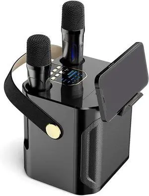 High Power Karaoke Bluetooth Speaker Portable 360 Stereo Surround Wireless Subwoofer with Dual Microphone Black