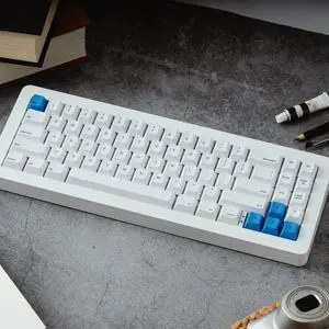 Apos WhiteFox Eclipse Wireless Mechanical Keyboard,Two-Mode USB-C/Bluetooth,Aluminum High/Low Profile,Hot Swappable Custom Keyboard, Pre-lubed Linear Switches,RGB Backlit Computer Keyboards for Mac/PC