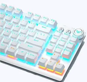 Aula F3001 Wireless Mechanical Gaming Keyboard, RGB Backlit, Bluetooth/2.4GHz/USB-C, Pre-lubed Linear Switches, for PC/Tablet/PS/Xbox