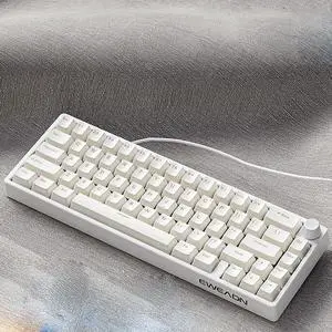 C650 v20 Custom Mechanical Wired Keyboard. Features White Jade Shaft. Portable for Gaming. Suitable for Windows,Macos, Los, Android. RGB Full Color Lighting. 50 Million Times lifespan. 66 Keys. White