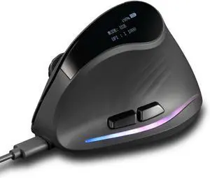 2.4G Wireless Bluetooth Mouse with Display Screen, Vertical Ergonomic Mouse DPI Bluetooth RGB Programming Mouse with RGB for Computer,Mac,Windows,Laptop