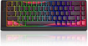 FKZ MC68 Rapid Trigger Gaming Keyboard,65% Adjustable Actuation Hall Effect Magnetic Switch Wired RGB Hot Swap Keyboard Side Printed Keycaps 8K Hz Polling Rate for PC/Mac Gamer (Red-Topographic)