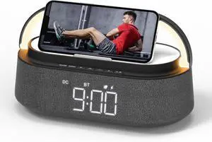 FREEFISH Bluetooth Speaker with Fast Wireless Charger,FM Radio,Touch LED Night Light,Phone Holder,Snooze, Portable Wireless Speaker for Bedrooms Office Home, Gifts (Black)